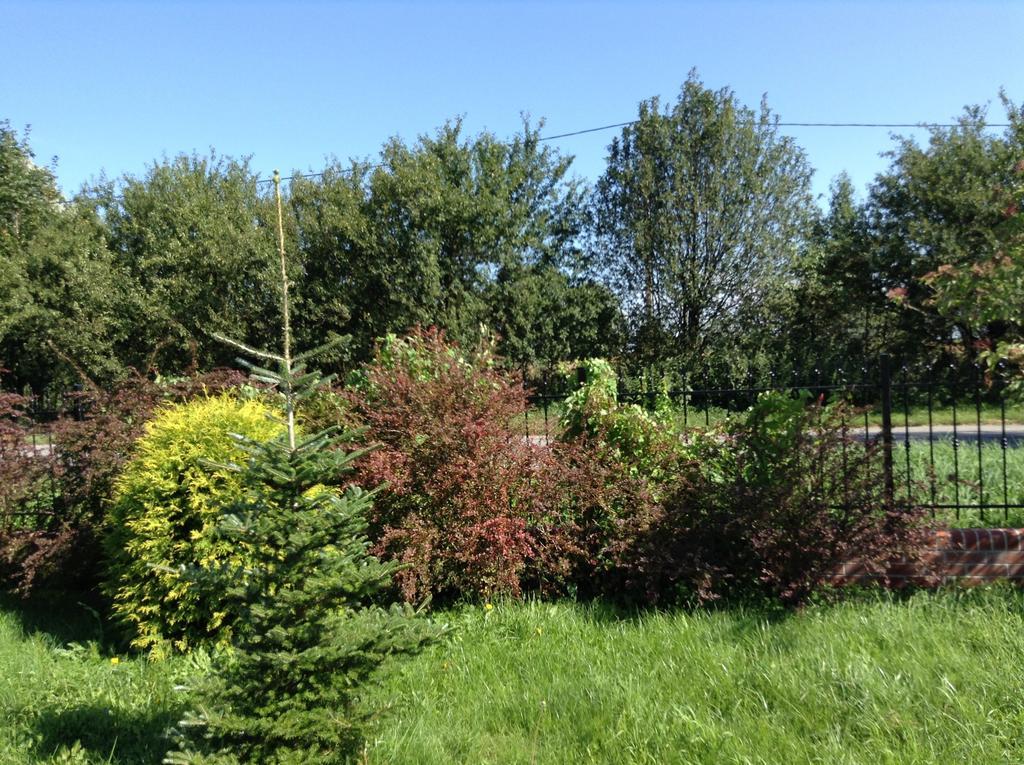 Landhaus Mit Garten شتشيتسين المظهر الخارجي الصورة